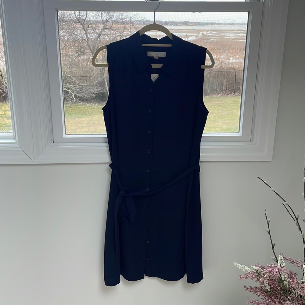 The Loft  button down dress